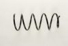 FIAT 46469713 Coil Spring